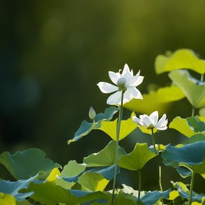 这辈子欠自己太多李发发