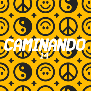 Frecvent (Butch Edit)