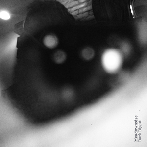 The Bats Have Come Now