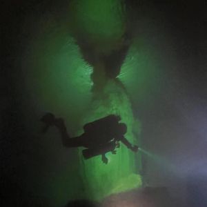 护绿行动(prod by sapientdream)