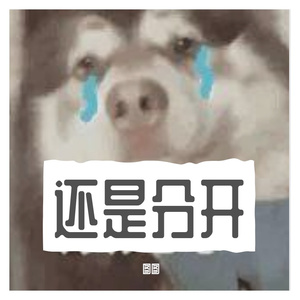 追光者-你走以后（图图 remix）