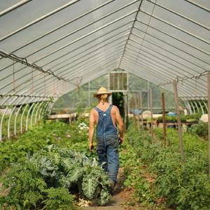 Keep My Skillet Good and Greasy (Live)