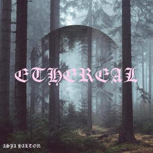 Ghost Town (feat. Perpetualll)