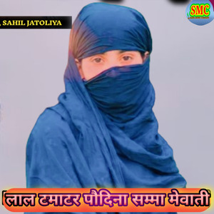 Lal Tamatar Poudina Samma Mewati