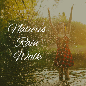 Gentle Rain Sounds