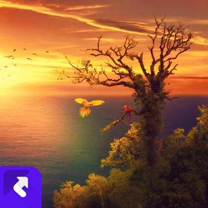 人穷心态要放宽 (现场)