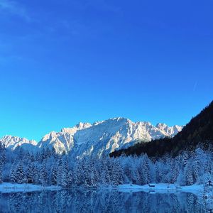 旧岁温情的回响(2)