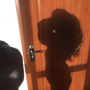 别给我（翻自 0）