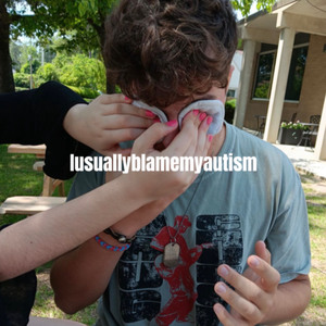 Iusuallyblamemyautism