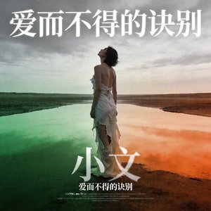 爱而不得的诀别