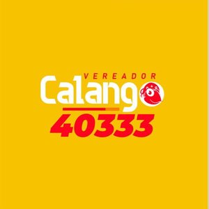 Vereador Calango 40333