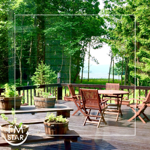 紅葉舞う秋の幻想曲