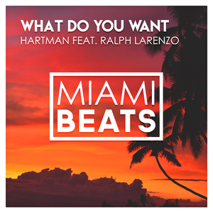 What Do You Want (Original Mix)