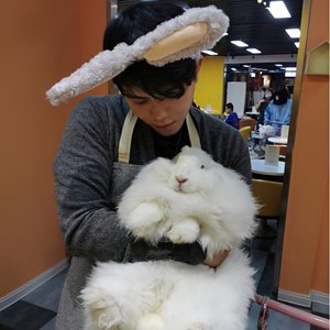 Follow（COVER：路皓凌）