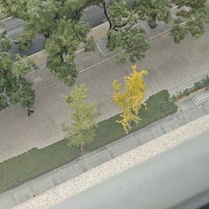 庙堂之外‖谭谈交通填词版