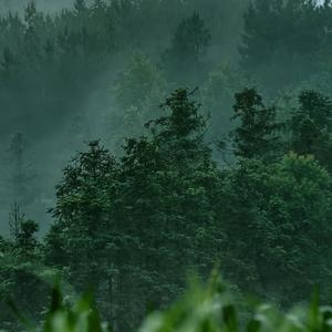 《再见那个瞬间》