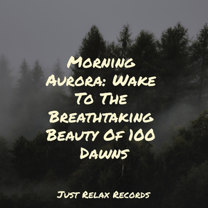 Echoes of a Dreamer's Melody