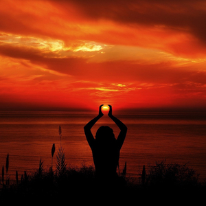 Warming Meadows