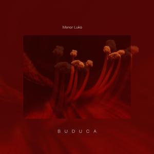 Buduca