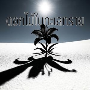 ดอกไม้ในทะเลทราย