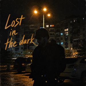 Lost in the Dark