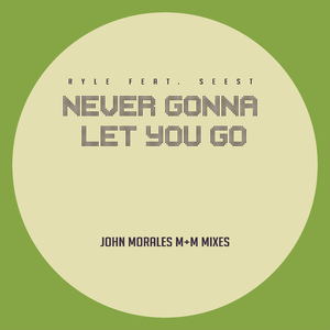 Never Gonna Let You Go (M+M Instrumental Mix) [Feat. Seest]