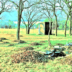 Trying to Write a Cool Song