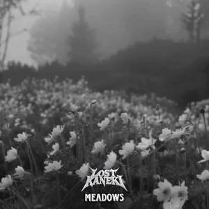 meadows