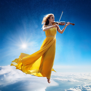 Under The Velvet Canopy