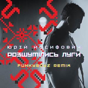 Юрій Йосифович - Розшумілись луги (Funkyboyz remix)