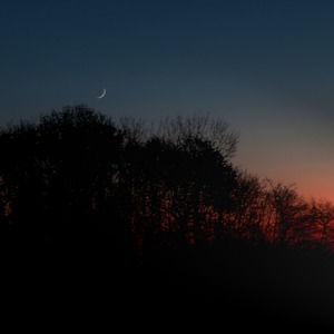 For When You Miss Home