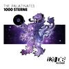 The Palatinates - 1000 Sterne (Original Mix)