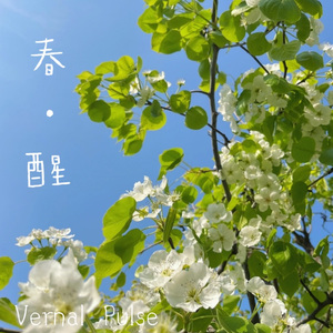 Vernal Pulse（春醒）