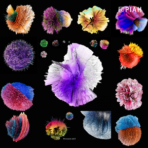 다시 시작 Start Over