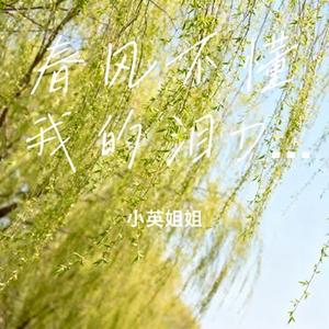 春风不懂我的泪DJ (Cover 袁小袁)