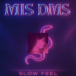 Mis Dms