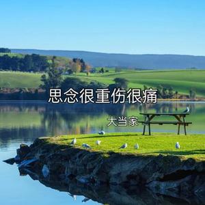 思念很重伤很痛