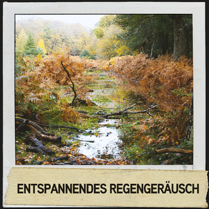 Regenmusikkammer