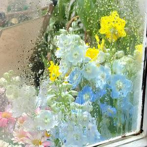 玉芬啊玉芬你让彪哥好伤心 (DJ默涵版)