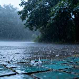 雨落无声