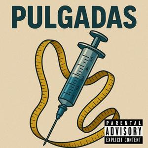 Pulgadas