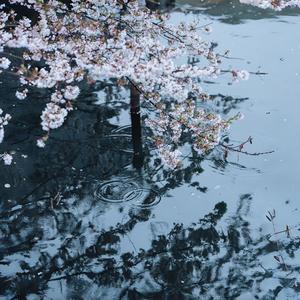 花影未终 ～ Unended Shadow