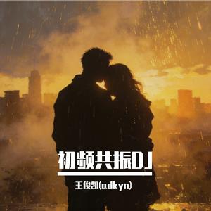 星落人海DJ（remix）