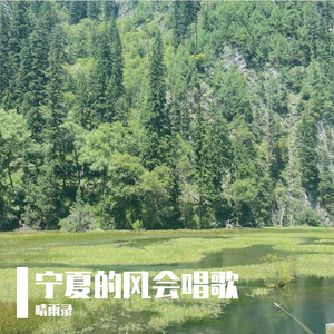 宁夏的风会唱歌
