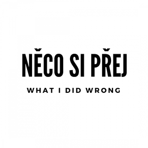 What I Did Wrong