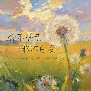 你不苍老我不白发