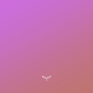 У меня есть план