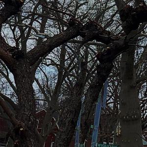 bustdown fever Pt. 2