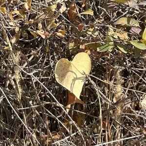 随笔.1 （pord by ANGER BEATS