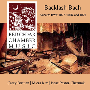 Viola da Gamba Sonata No. 1 in G Major, BWV 1027: 3. Andante